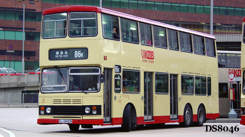 DSC03241_s.jpg