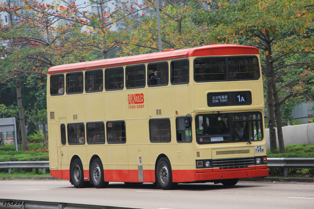 7458.jpg