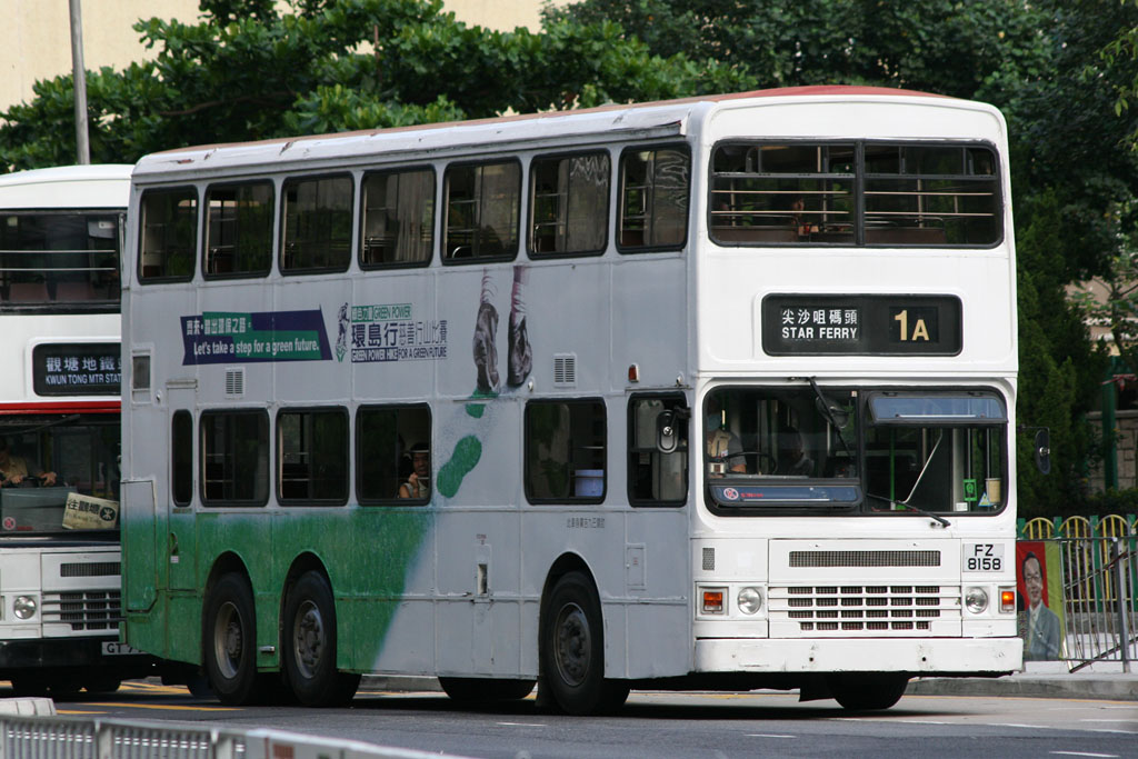 8158.jpg