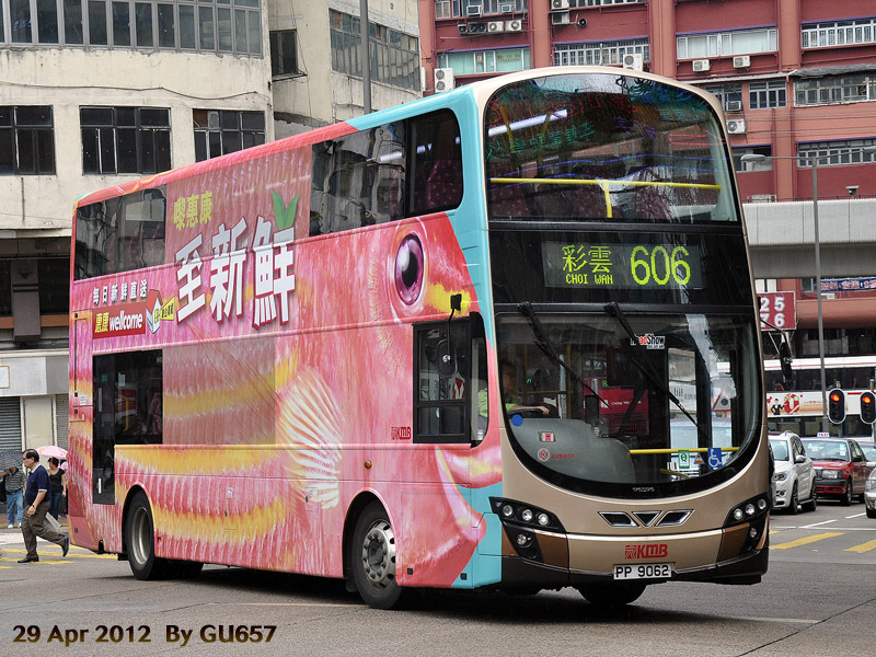 pp9062.jpg