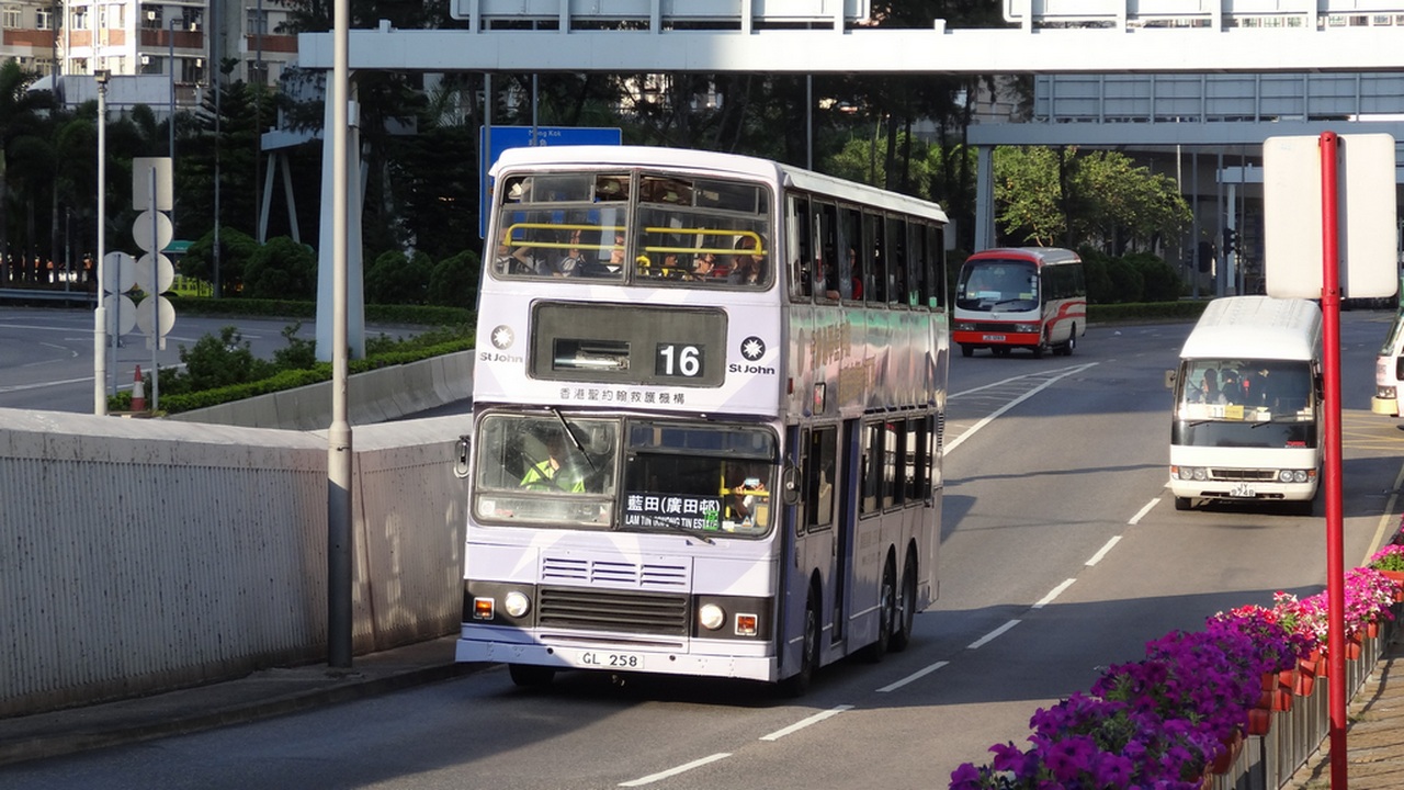 DSC01380s.jpg