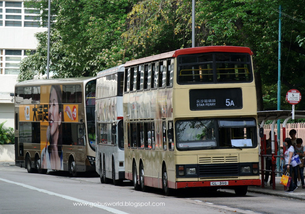 DSC_4291.JPG