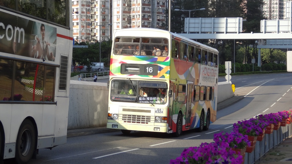 DSC01371s.jpg