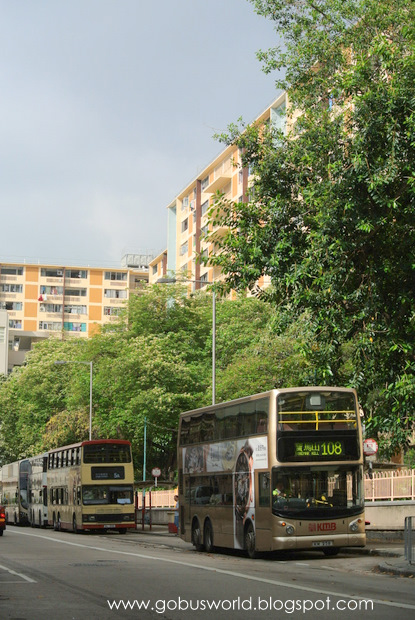 DSC_4294-1.JPG