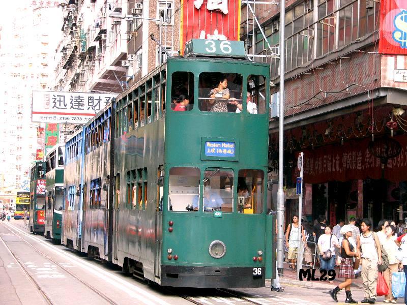 tram36_1.jpg