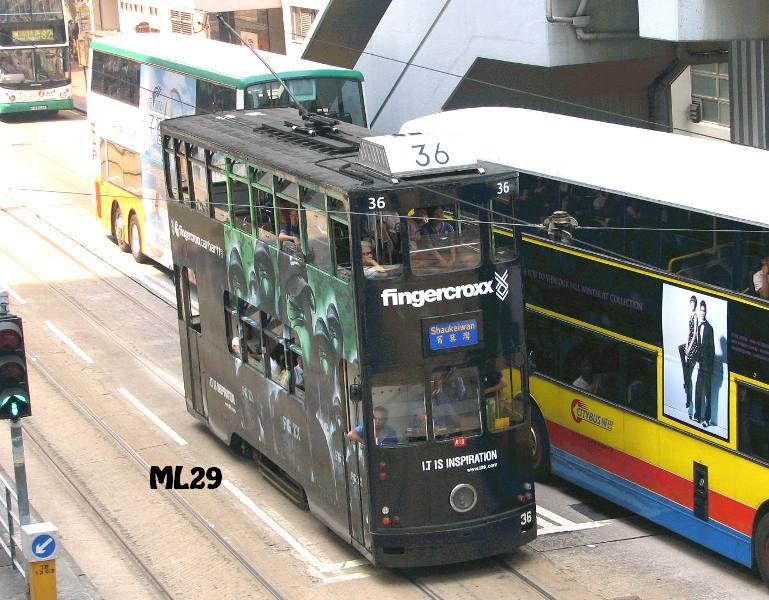 tram36_3.jpg