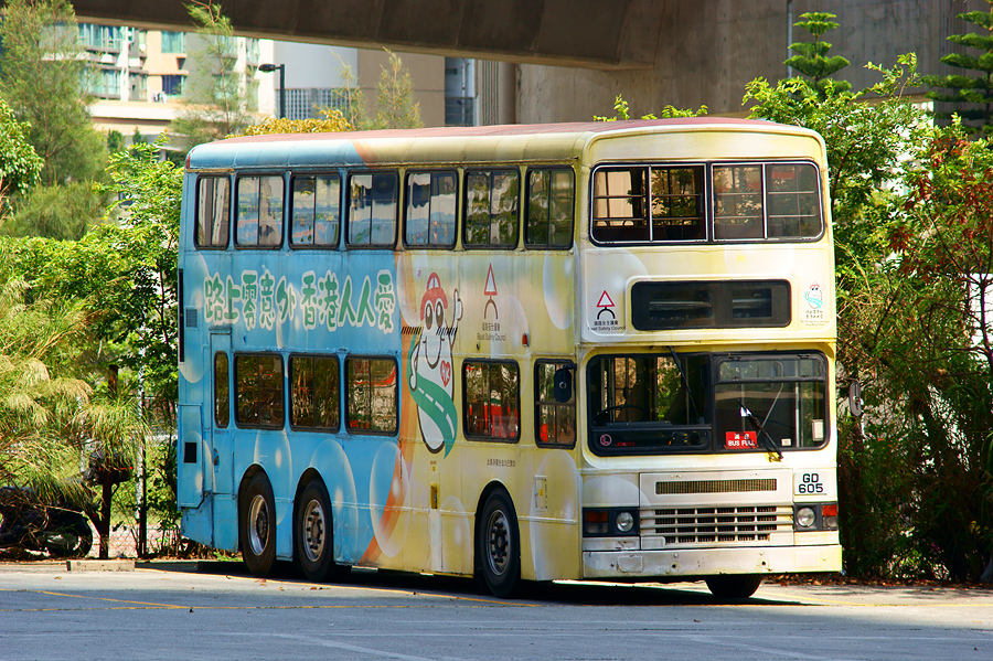 DSC07914s.jpg