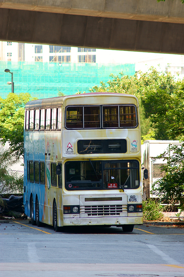 DSC07973s.jpg