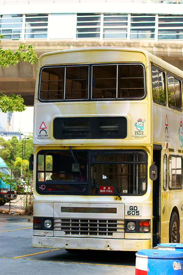 DSC07927s.jpg