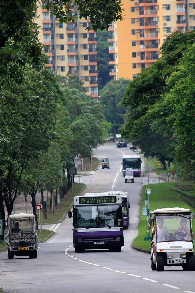 7A.jpg