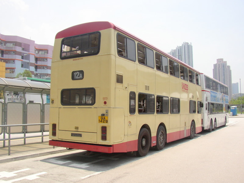 p8410105.jpg