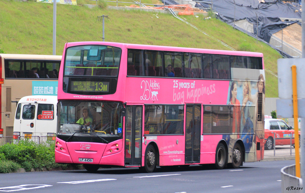 4456 6.jpg