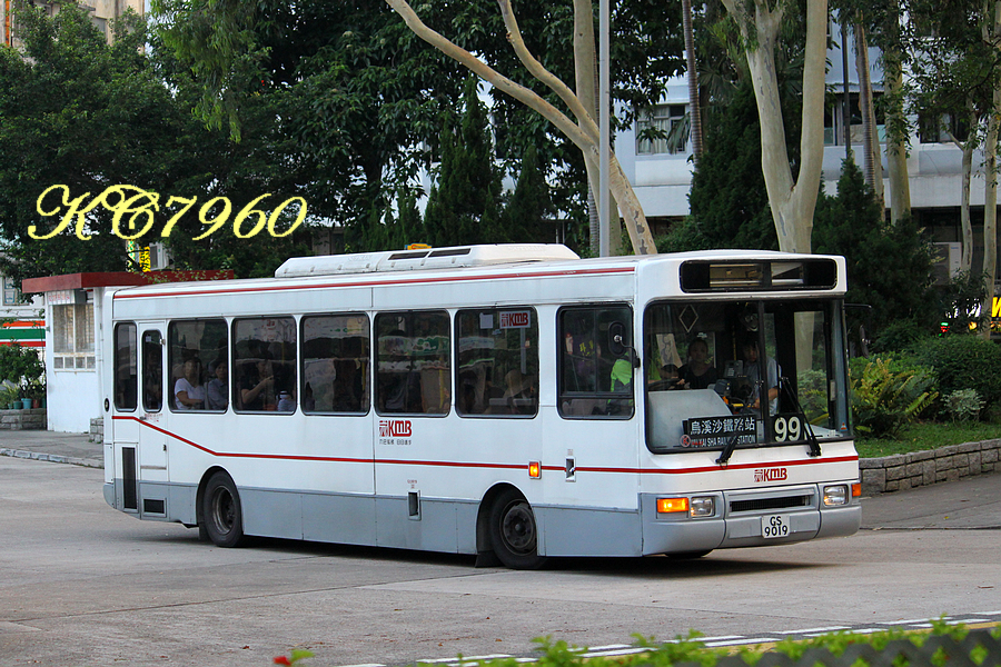 GS9019_99.jpg
