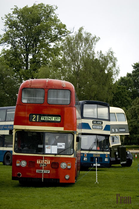 DSC_0048.jpg