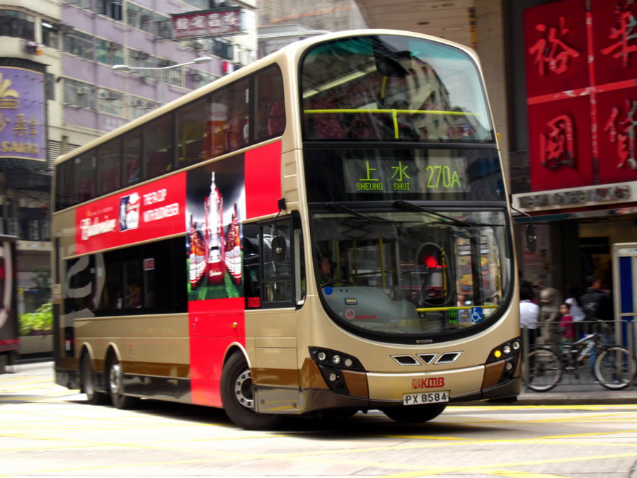PX 8584 @ 270A_resize.JPG