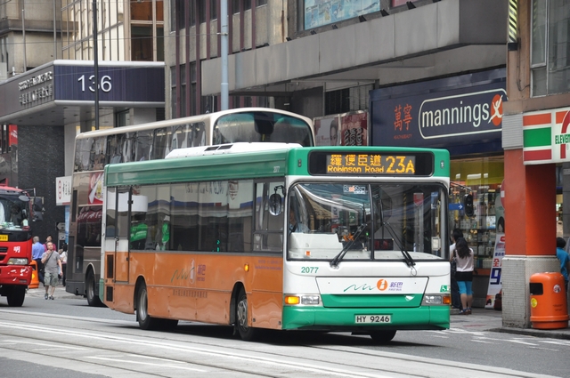 tn_DSC_1303.JPG