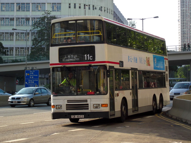 GB 4603 @ 11C_resize.JPG