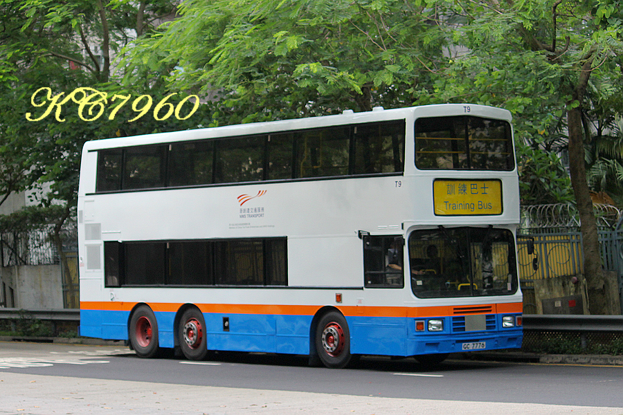 T9.jpg