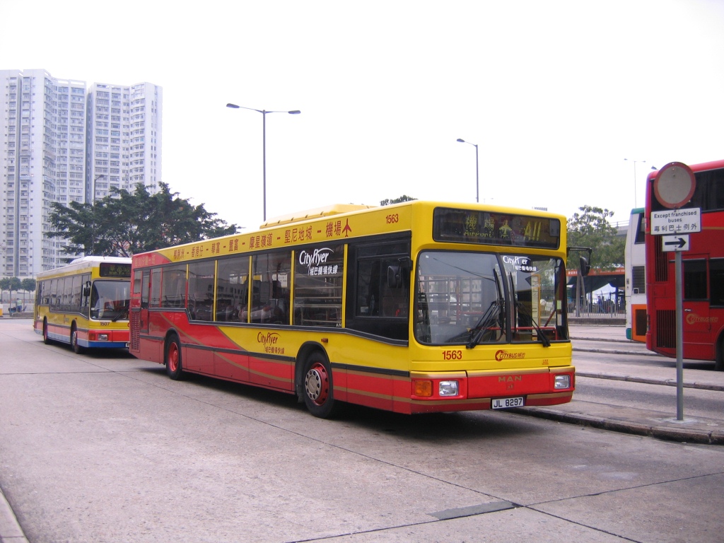 A11_5.JPG