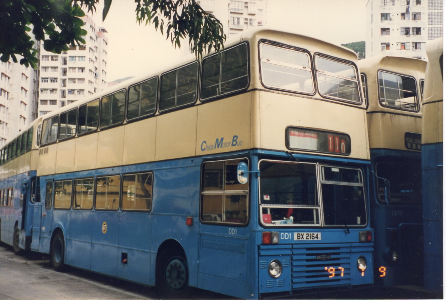 EPSON483.JPG