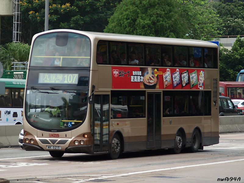 P6215949 copy.jpg