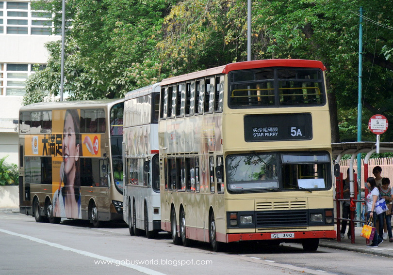 DSC_4291.JPG