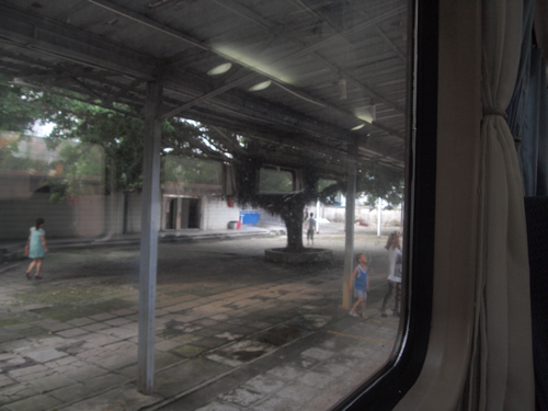 P6254428a.jpg