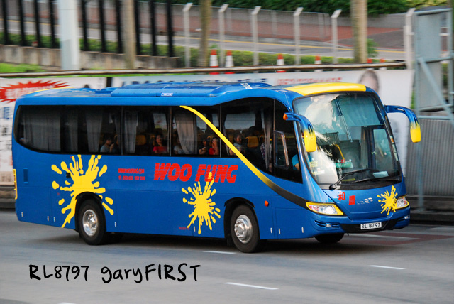 rl8797.jpg