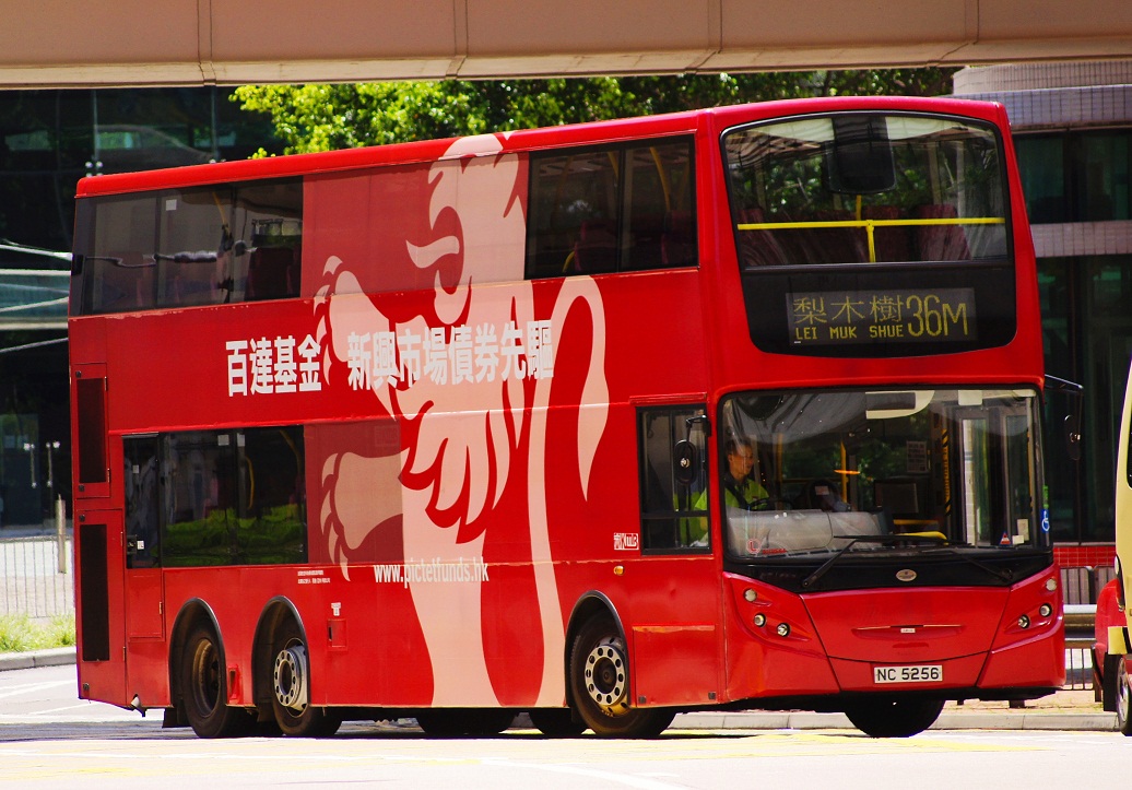 DSC00385.JPG