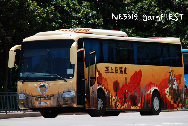 ne5319-2.jpg