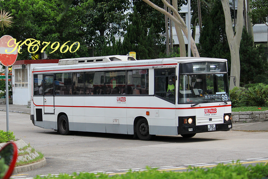 GG8136_99.jpg
