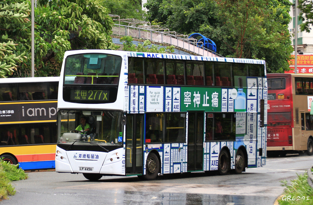 4456.jpg