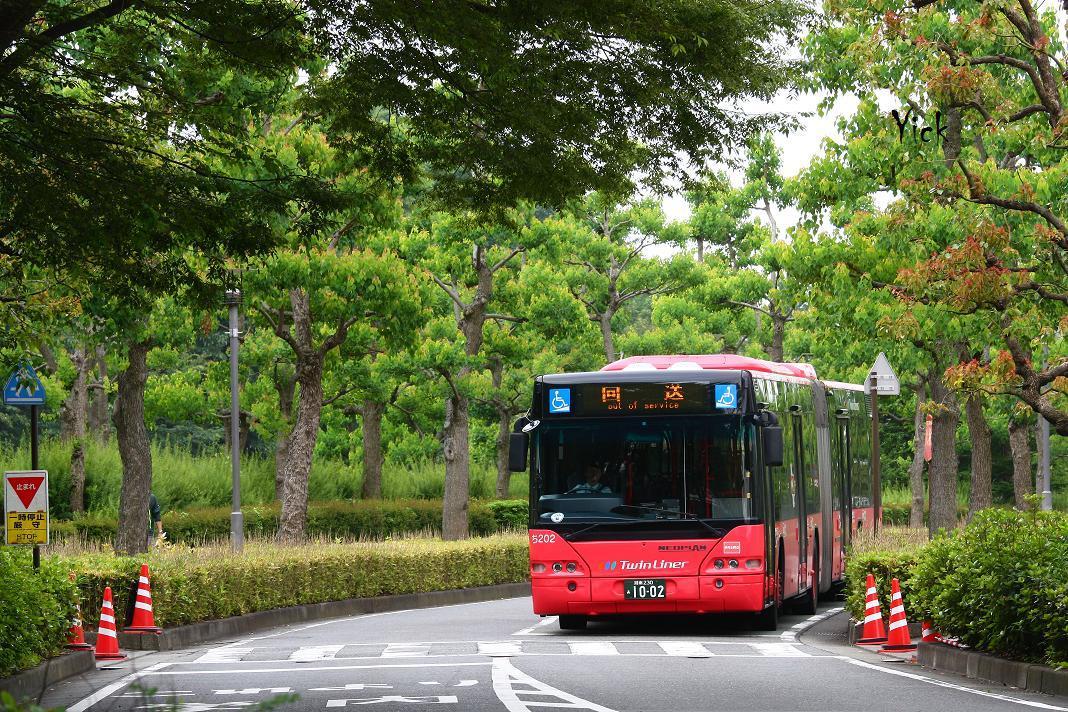 Neoplan Twinliner (2).jpg