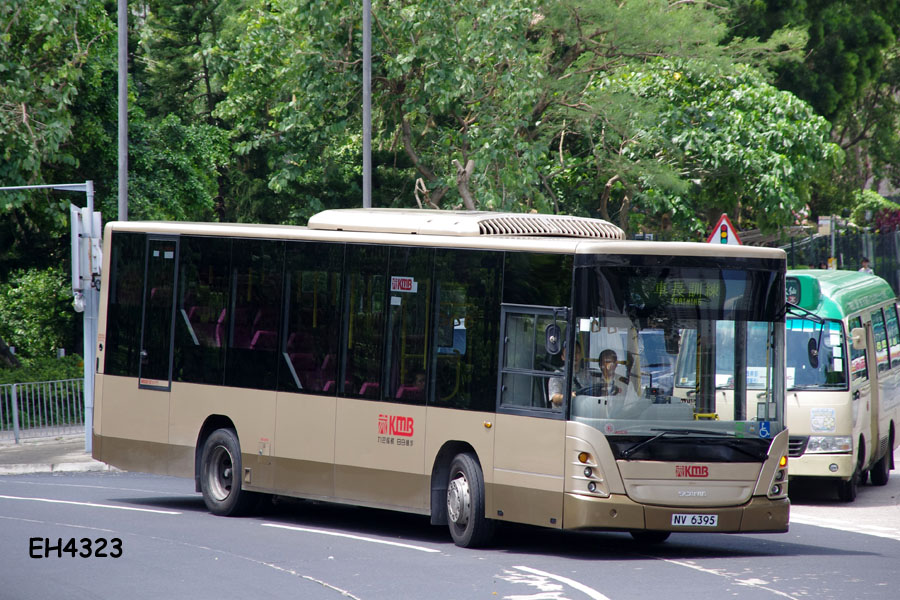 NV6395_T.jpg