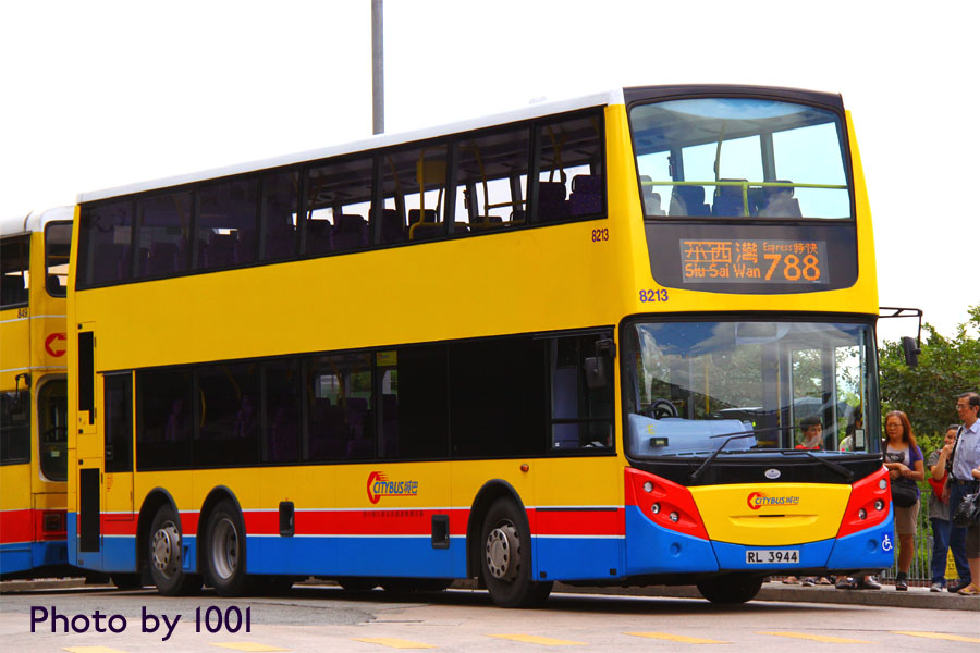 d8213-788.jpg