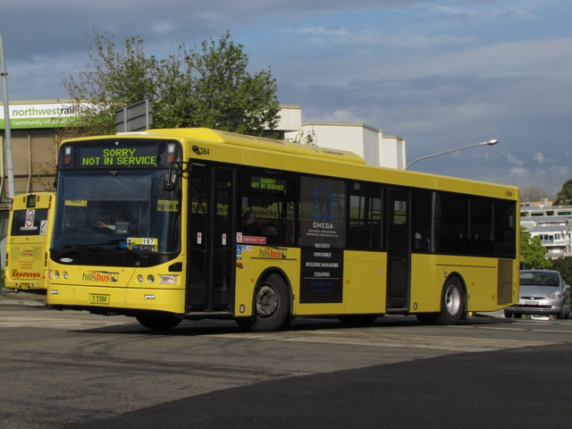 5384-1.jpg