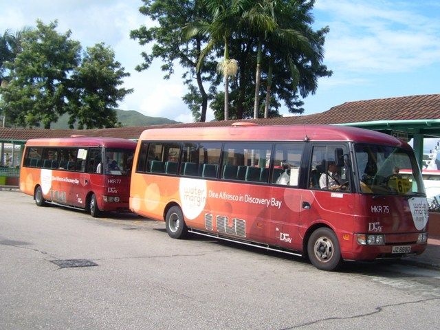 01.jpg