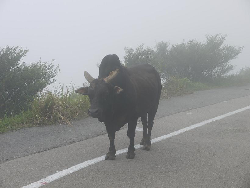 馬路.jpg