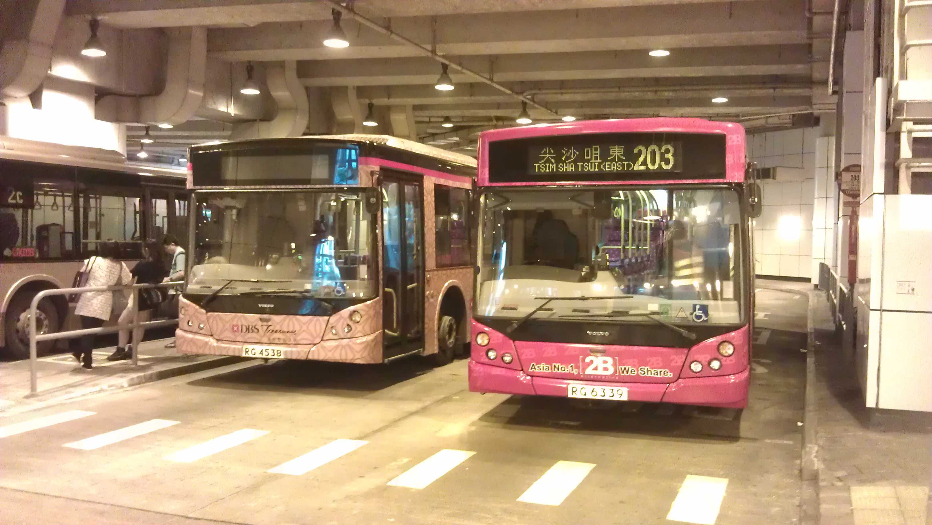 IMAG0262.jpg