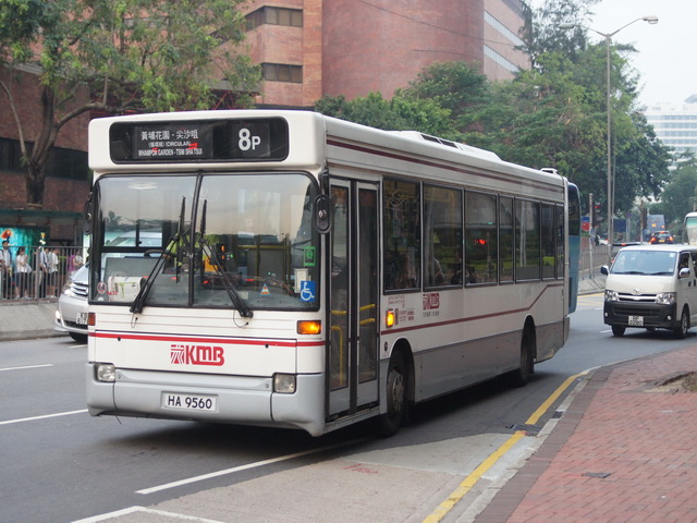 DSC07198.JPG