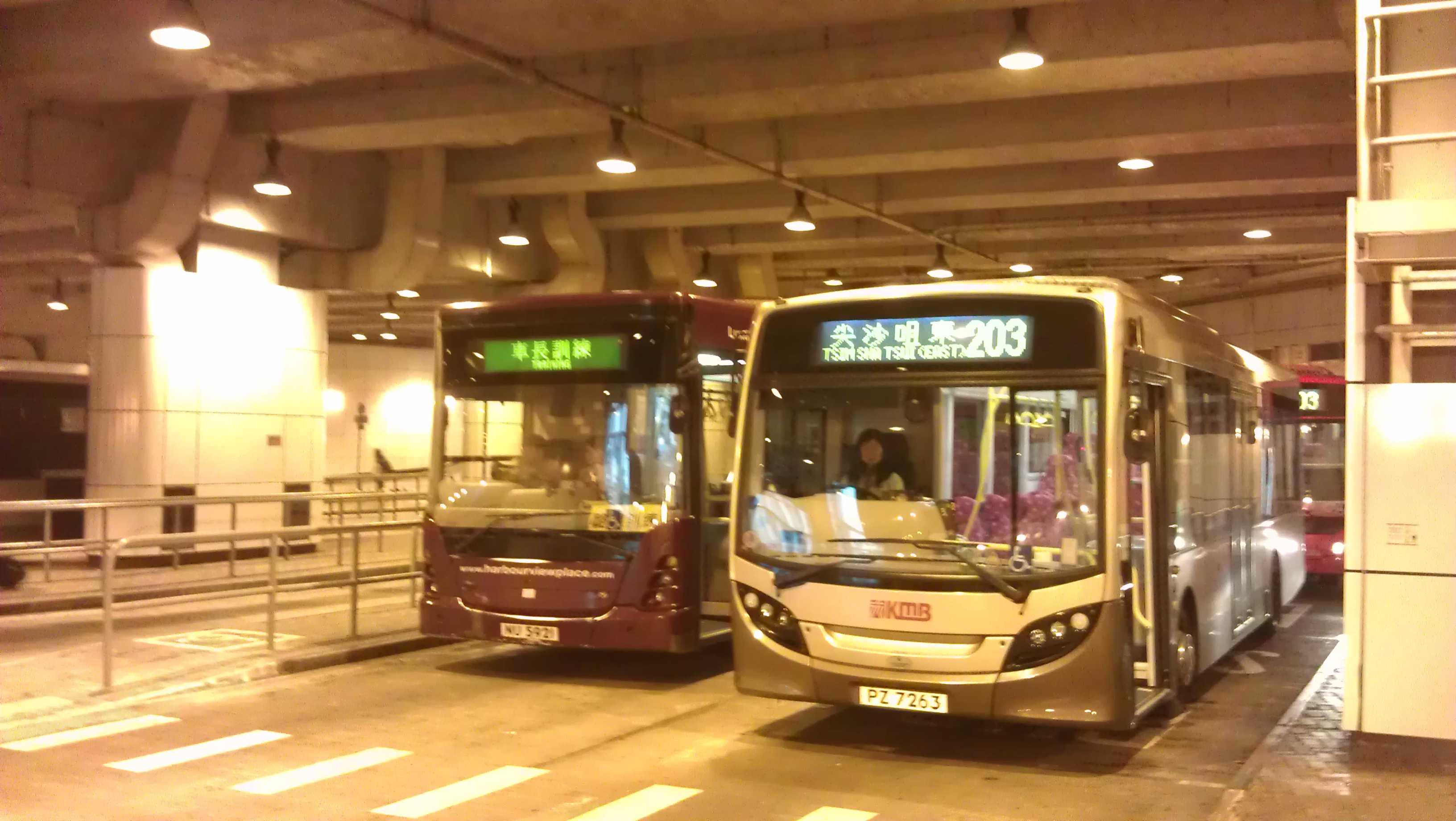 IMAG0084.jpg