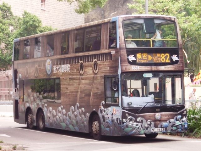 08.jpg