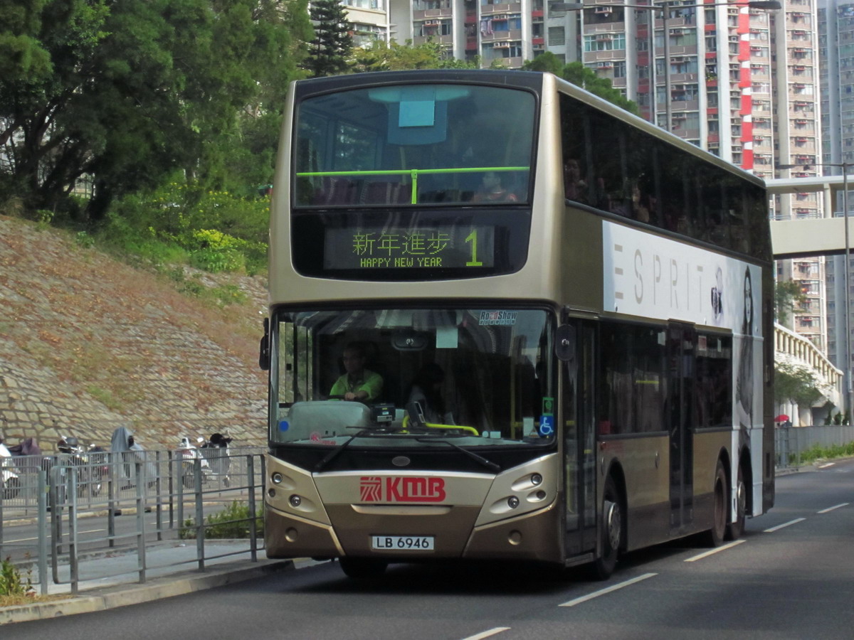 LB 6946 @ 1 Happy new year_resize.JPG