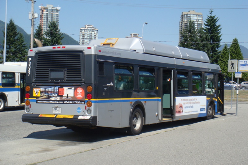 296.JPG