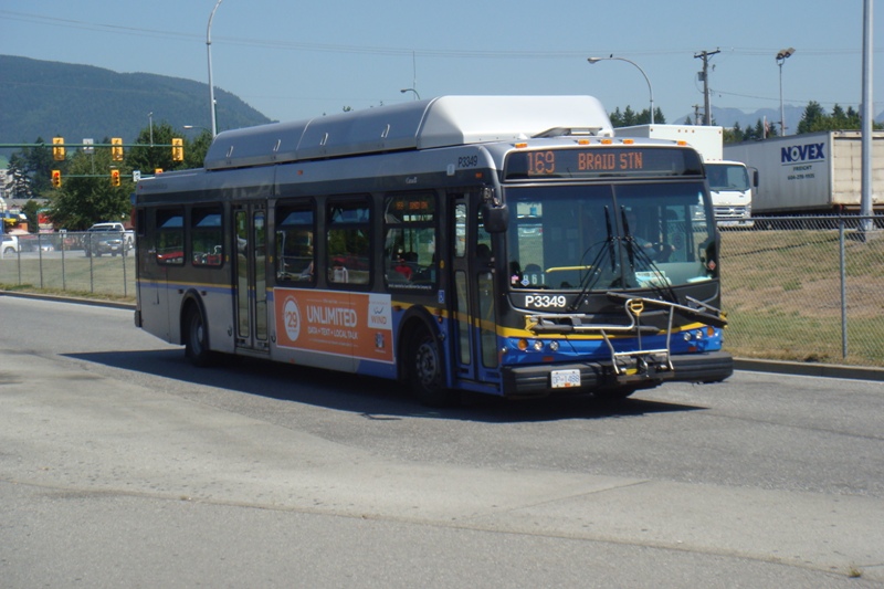 286.JPG