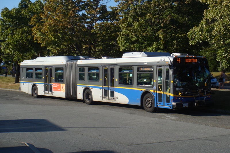 301.JPG