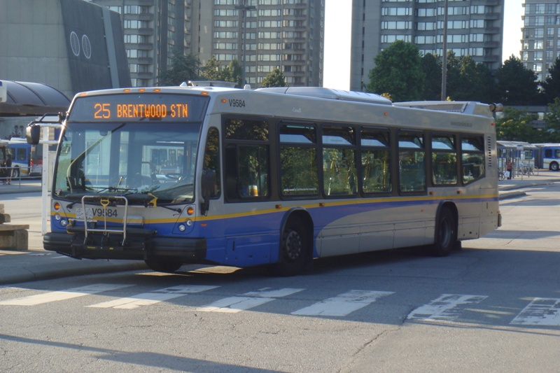 309.JPG