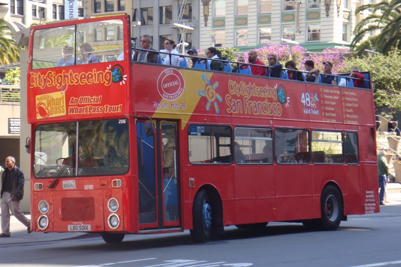 206.JPG
