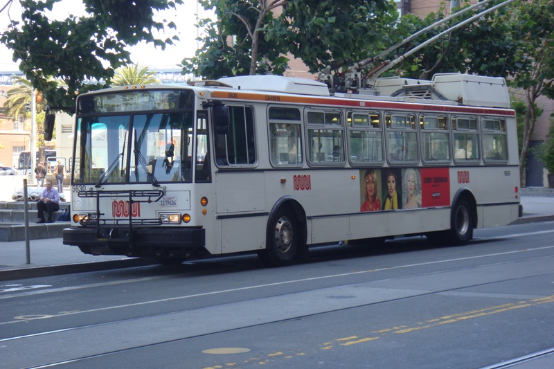 215.JPG