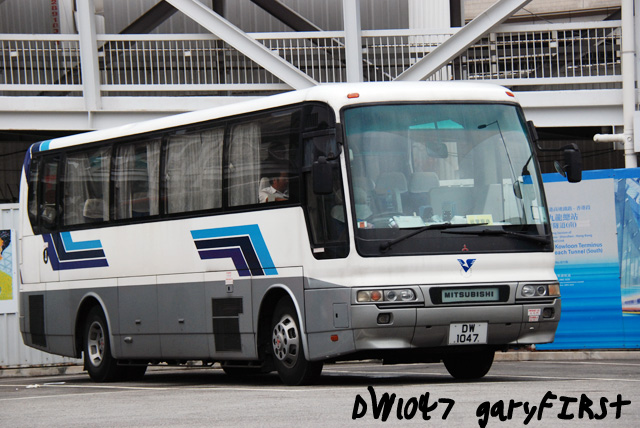 dw1047-5.jpg